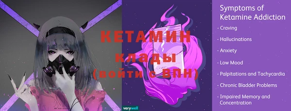 мяу мяу мука Елабуга