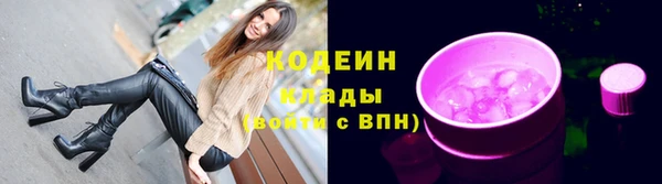 мяу мяу мука Елабуга