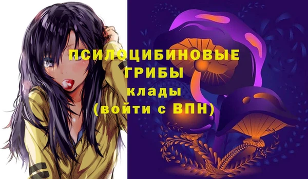 прущий лед Ельня
