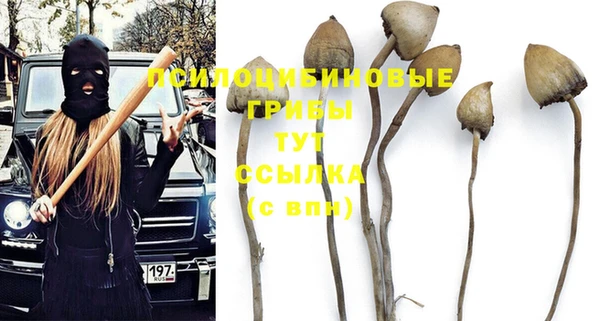прущий лед Ельня