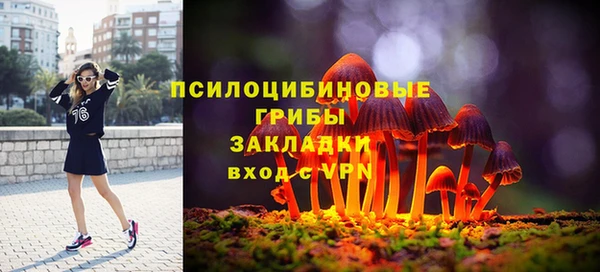 прущий лед Ельня