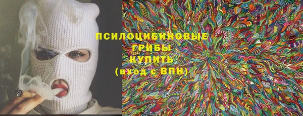 мяу мяу мука Елабуга